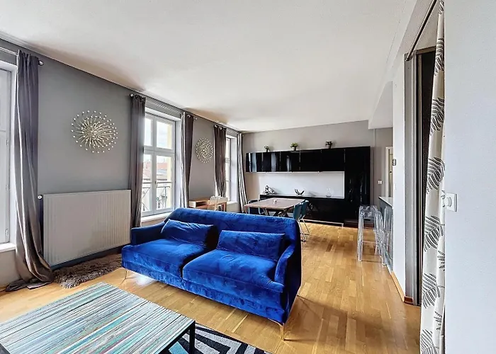 Dans Un Immeuble De Caractere , Vue Sur Le Temple Neuf Avec Parking * Metz