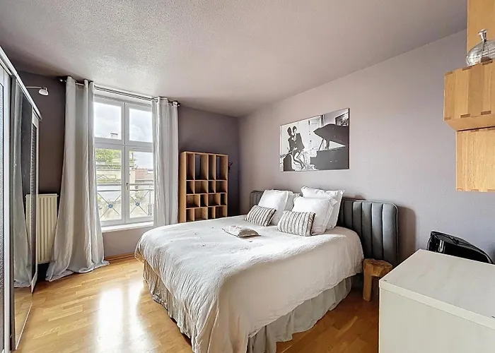 Dans Un Immeuble De Caractere , Vue Sur Le Temple Neuf Avec Parking Apartment Metz